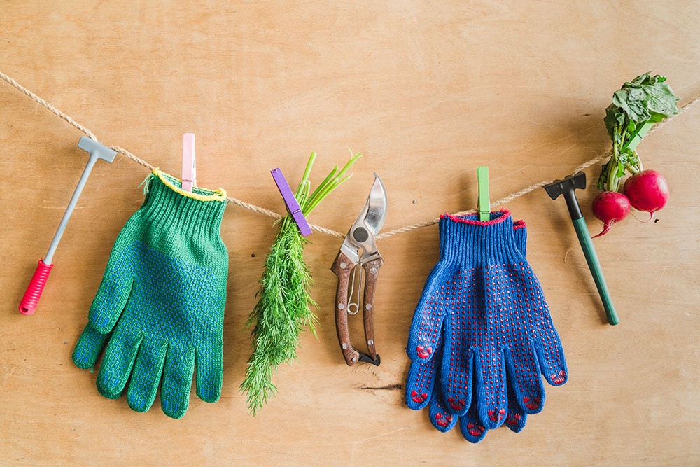 Storage Solutions for Garden Tools and More