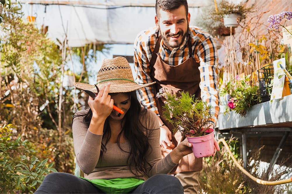 Growing a Stunning Garden