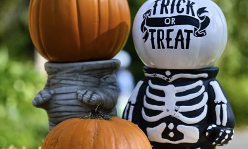 Halloween Ideas on the Cheap: Spooky Fun Without Breaking the Bank