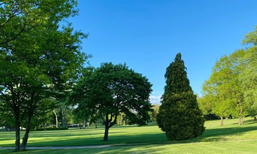 The Importance of Lawn Care: Cultivating Beauty, Health, and Environmental Benefits