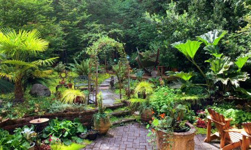 Transforming Your Outdoor Oasis: Inspiring Garden Improvement Ideas